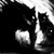 :icondemon-flame: