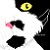 :icondemon-katt: