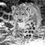 :icondemon-kitty77: