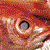 :icondemon-priest: