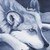 :icondemon-winged-angel: