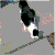 :icondemona-krayle: