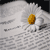 :icondemonated-poet: