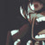 :icondemonfirepheonix: