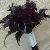 :icondemonic-angelod: