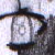 :icondemonic-bunny: