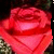 :icondemonic-honor: