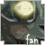 :icondemonjesean:
