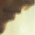 :icondemonkeara: