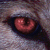 :icondemonredwolf: