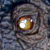 :icondemonrex:
