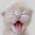 :icondemonspawn12: