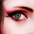 :icondemonstratiregimine: