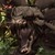 :icondemonsunitedinc: