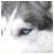:icondemonwolf10: