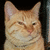 :icondemonxofxsecrets: