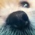 :icondemonzzdesigns: