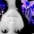 :icondempsu: