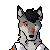 :icondenalicoyote09: