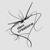 :icondeni10design: