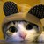 :icondenisethenerdygirl: