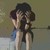 :icondennyfebryo: