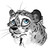 :icondenver44: