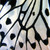:icondeost-photographica: