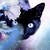 :icondepressedtiger16: