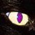 :icondepshado: