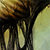 :icondepthcontrol:
