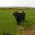 :iconder-aksel: