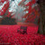 :iconder-coven-designs: