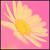 :iconder-kuchen: