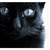 :iconderafina: