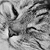 :iconderaltemann: