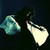 :iconderanged5: