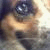 :icondereinzel: