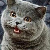 :iconderekfighter: