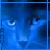 :iconderibiru: