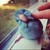 :iconderinak4: