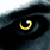 :iconderocket: