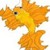 :iconderp1795: