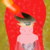 :iconderpyhooves450: