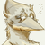 :iconderrelix: