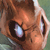 :iconderuuyo: