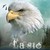 :icondeseeagle: