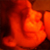 :icondesen: