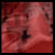 :iconDesert-of-Eden: