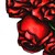 :icondesertbaby09:
